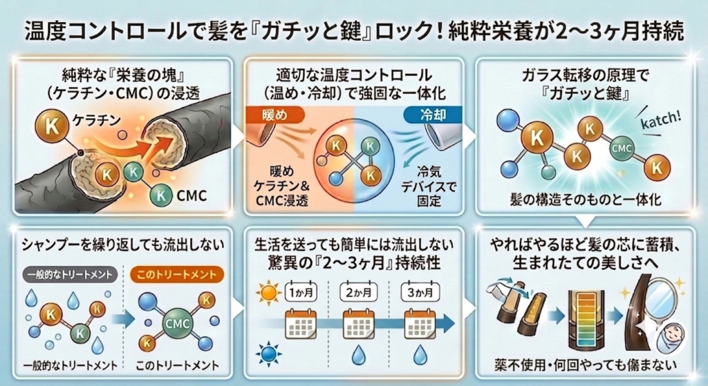 ガラス転移骨格トリートメント